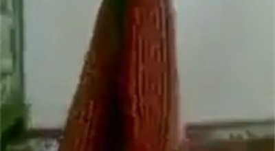حقيقة سجادة صلاة واقفة تصلي