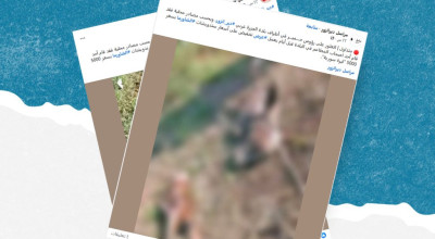 هذه الصورة قديمة ولا علاقة لها ببلدة الجزرة السورية