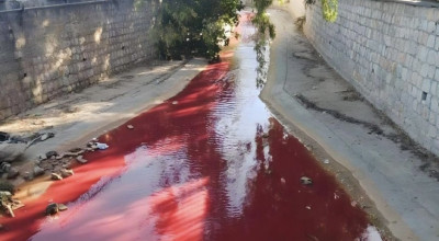 فيديو قديم وغير صحيح قيل إنه لدم العلويين الذين قتلوا في سوريا