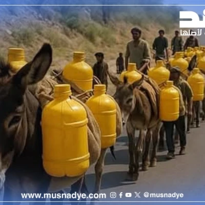 حقيقة صورة قافلة الحمير المتجهة لتعز؟ مولدة بالذكاء الأصطناعي