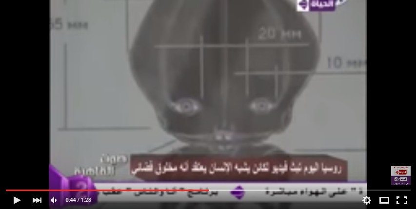 حقيقة فيديو لمخلوق فضائي