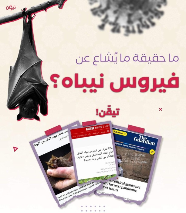 ما حقيقة ما يشاع حول فيروس "نيباه" ؟!